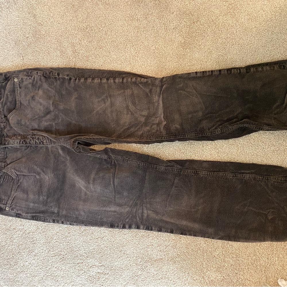 Pilcro Women's Relaxed Fit Pants in Deep Brown